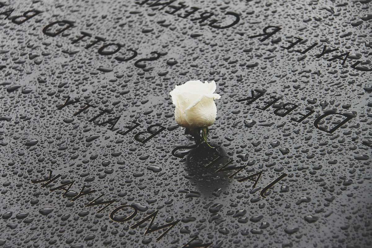 world trade center memorial foundation photo of half bloomed white rose flower new york